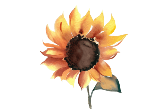 Download Fall Sunflower Watercolor Clipart Vol–9 - Fall Collection
