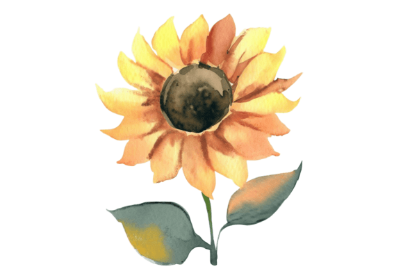 Download Fall Sunflower Watercolor Clipart Vol–8 - Fall Collection